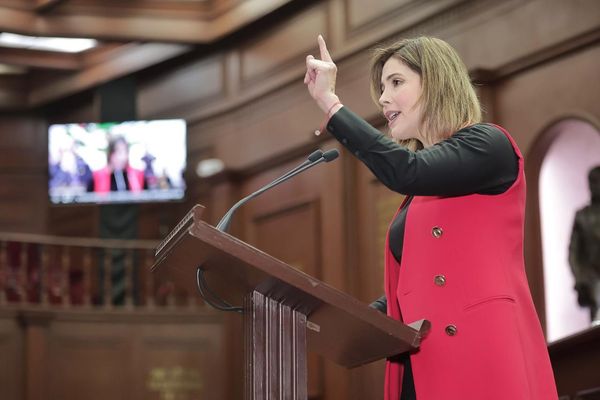 Diputada Brissa Arroyo propone robustecer jurídicamente medidas cautelares