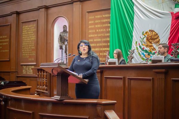 Fomento a la lectura con inclusión, propone Vanhe Caratachea