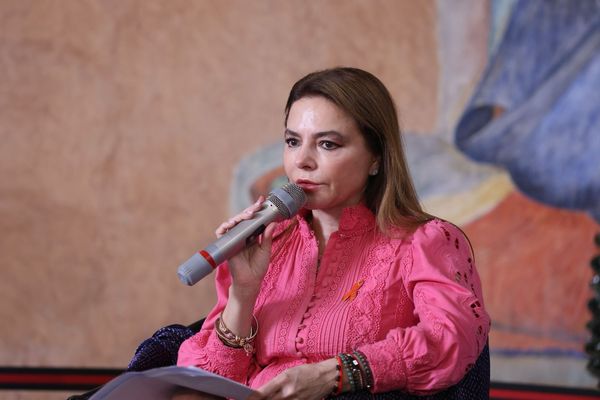 Sin educación cívica no hay democracia sólida: Carla Humphrey