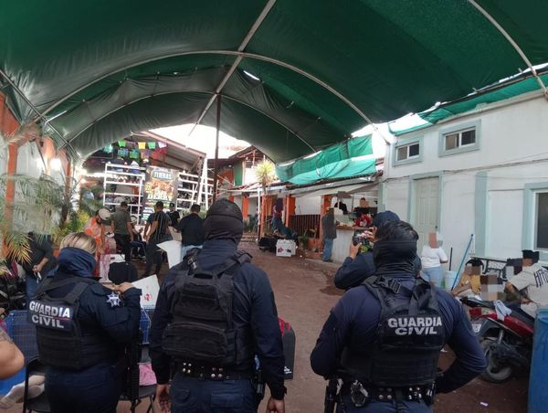 SSP desactiva 9 palenques clandestinos en lo que va de 2026