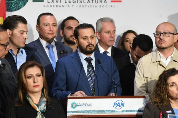 INE debe integrarse con perfiles imparciales, capacitados y sin vínculos partidistas: Armando Tejeda