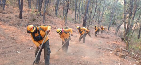 Controlado al 100 % incendio en Nuevo Urecho
