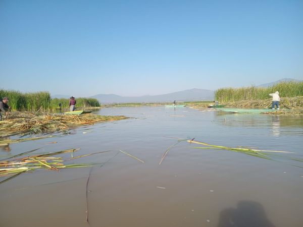 Son 18 manantiales descubiertos en 2026, en el Lago de Pátzcuaro