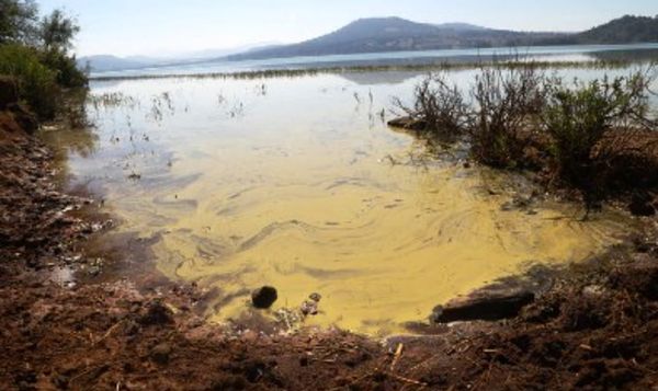 Denuncian saqueó de agua en el lago de Zirahuén