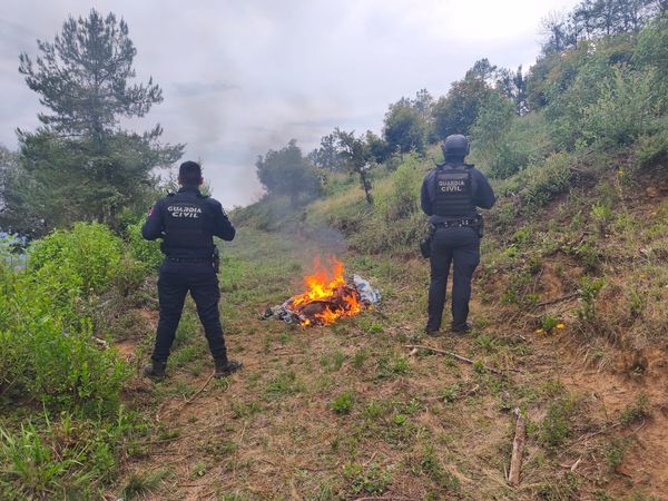 Localiza y destruye Guardia Civil campamento de la DO