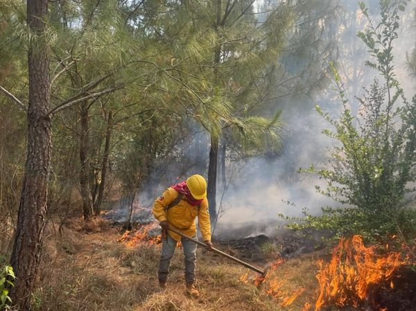 Controlado un 80% del incendio en el Estribo Grande