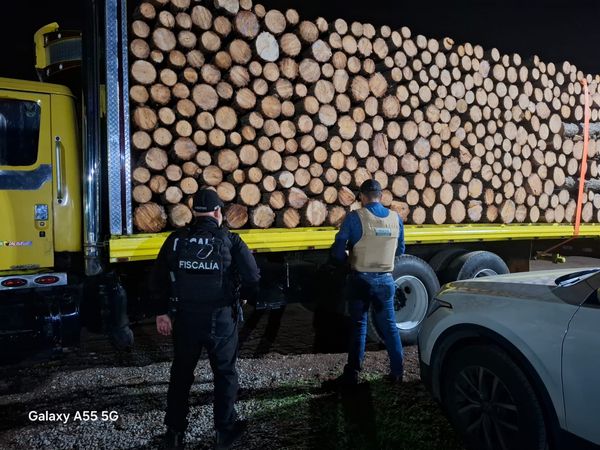 FGE aseguran vehículos que transportaban madera durante operativo coordinado en Pátzcuaro